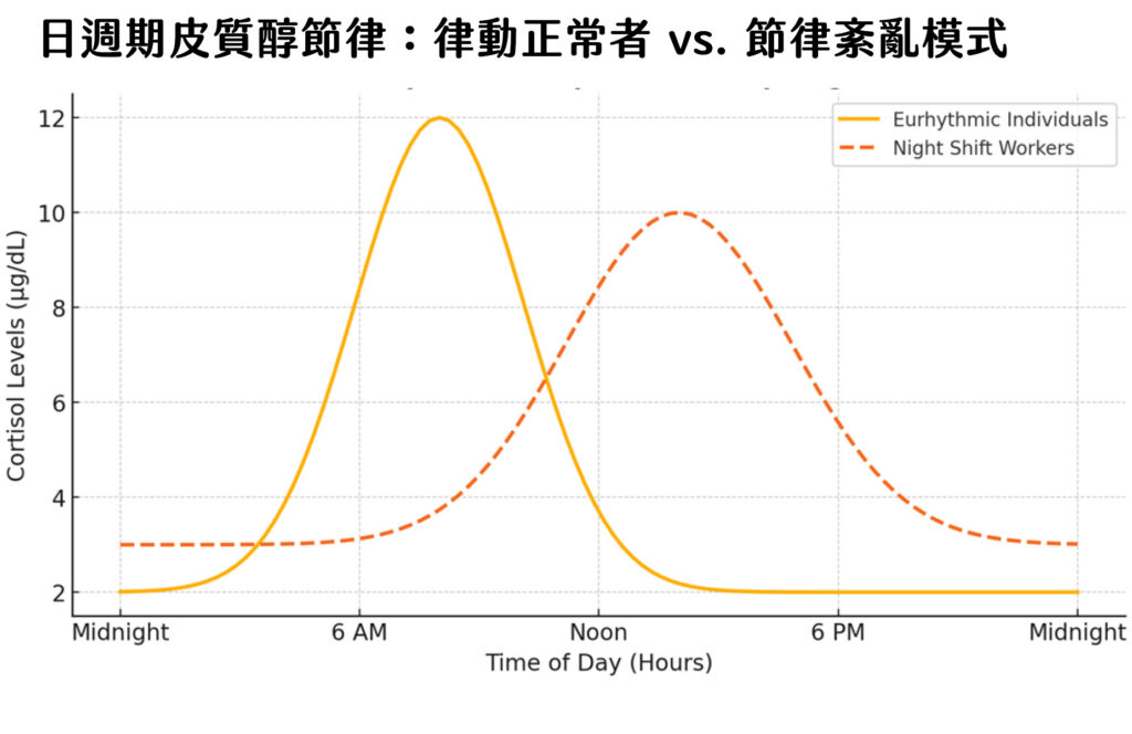 節律正常者和夜班工作者的晝夜皮質醇節律比較：在不同的生物樣本類型（尿液、唾液、血漿）中，總體模式相似；然而，振幅和時間可能有所不同。夜班工作者的節律紊亂會導致相位偏移，並改變峰值時間（acrophase）和平均皮質醇水平（mesor）。通常需要一天中至少四個時間點（例如，早晨、中午、傍晚和夜間）才能可靠地捕捉這種節律。